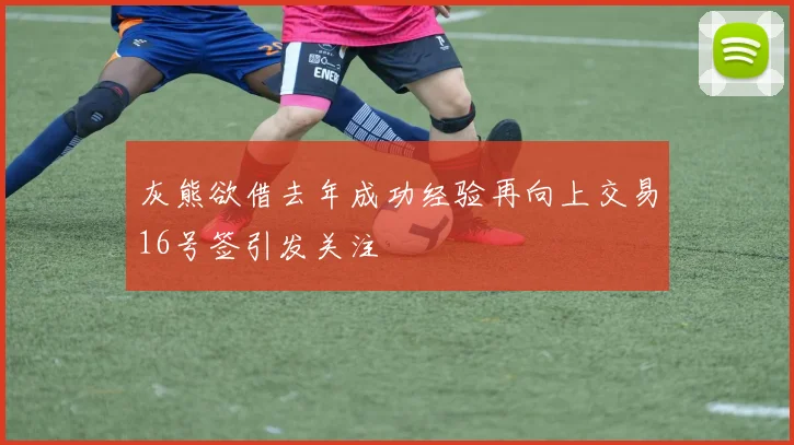 灰熊欲借去年成功经验再向上交易16号签引发关注